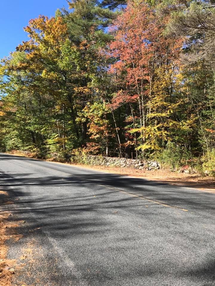 Chesham Rd. Oct 2018