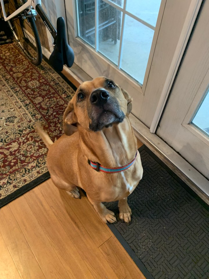 Hello, blog, my old&nbsp;friend